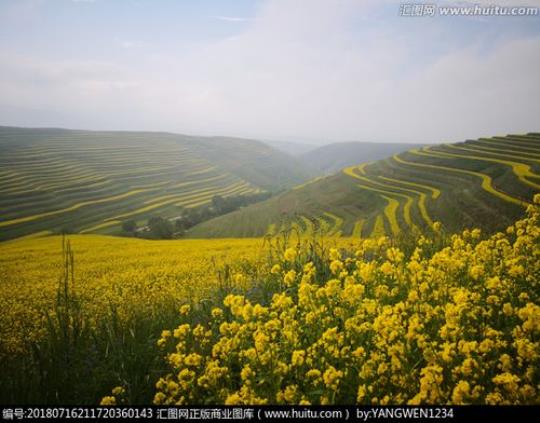 关于形容梯田油菜花的诗句合集(通用) 怎么形容梯田的美景