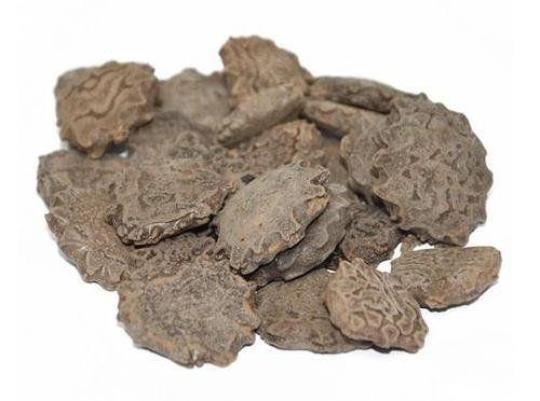 木鳖子的功效与作用及禁忌是什么？