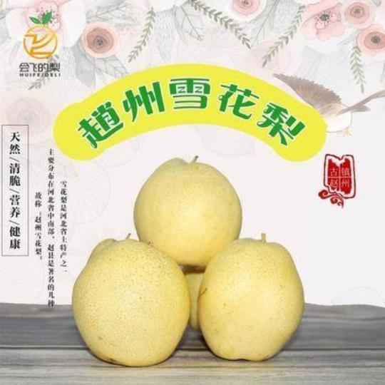 翥夂自驾游（畅游湖光山色，感受自然美景）