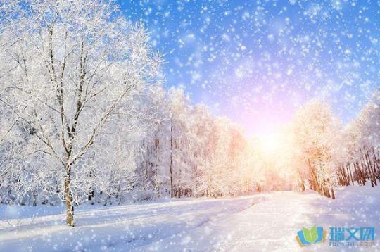 关于过年雪的诗句合集(优选) 关于过年诗句古诗大全