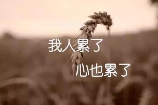 关于累了压力大的句子说说心情短语大全 生活压力的句子