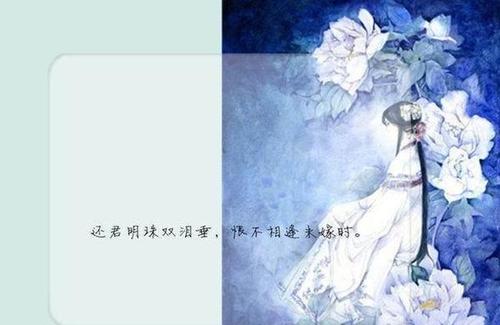关于执和白的诗句合集(通用)