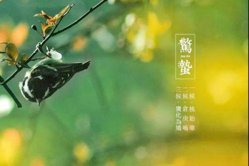 关于物候的诗句和解释合集(优选) 关于物候诗句及解释