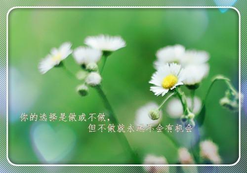 关于安静的努力的句子说说心情说说大全 只要安静的努力就好了