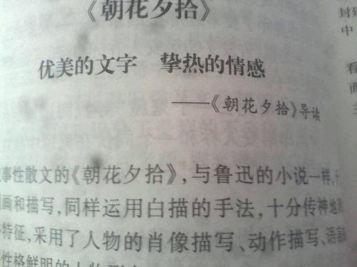关于朝花夕拾优美句子及赏析大全 关于朝花夕拾优美的句子