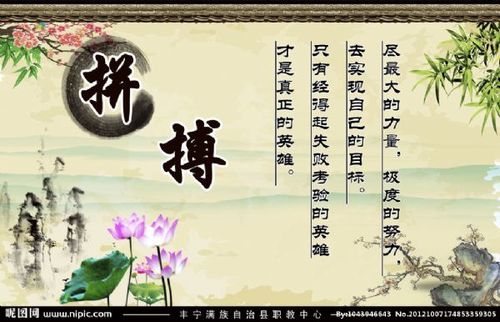 关于于拼搏的诗句合集(实用) 关于拼搏诗句