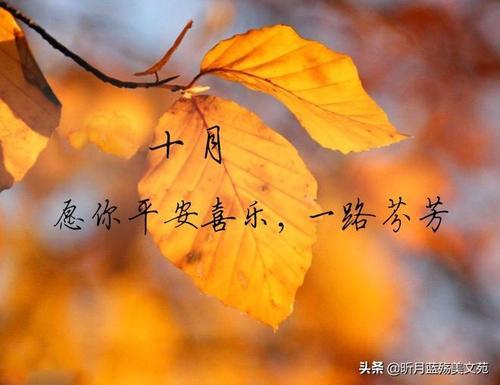 关于一切顺利的唯美句子大全 愿事情一切顺利的唯美句子