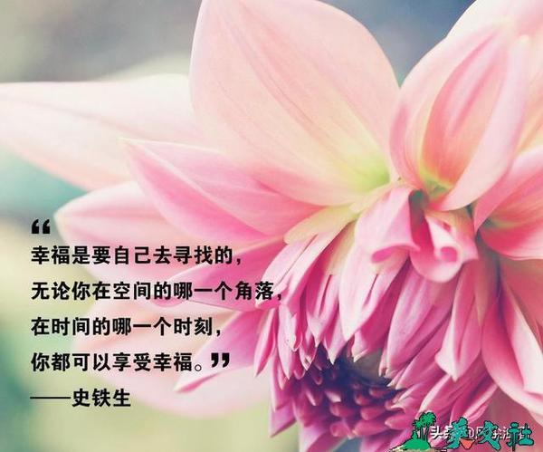 关于幸福在身边的诗句合集(实用) 关于幸福身边的素材
