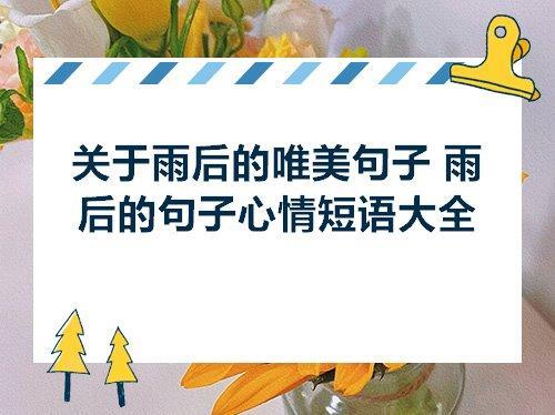 关于形容下完雨后的唯美句子大全 形容下完雨后的成语