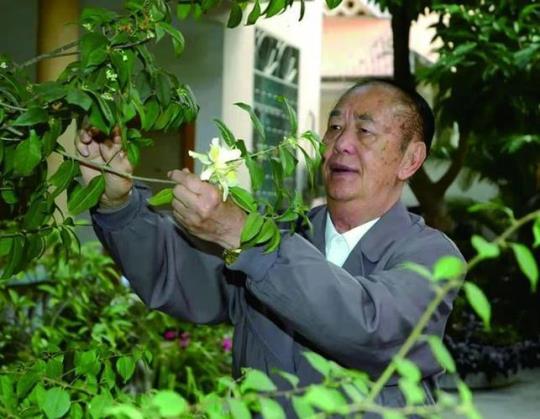 整董镇是哪个省份的县级市？
