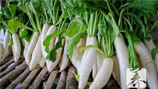 萝卜怎么做好吃又简单