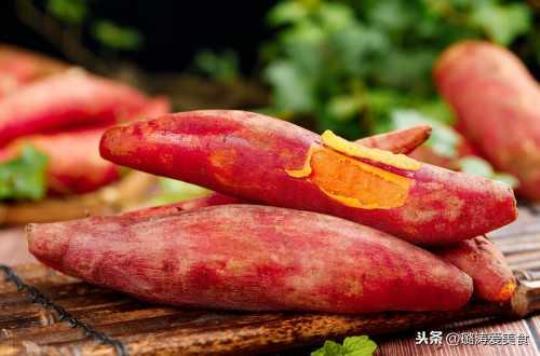 红薯要煮多久才熟
