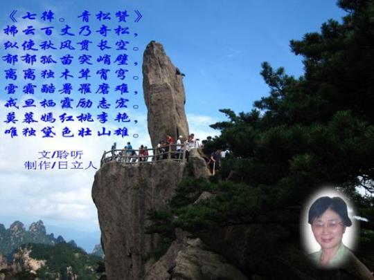 关于玉松的诗句合集(通用)