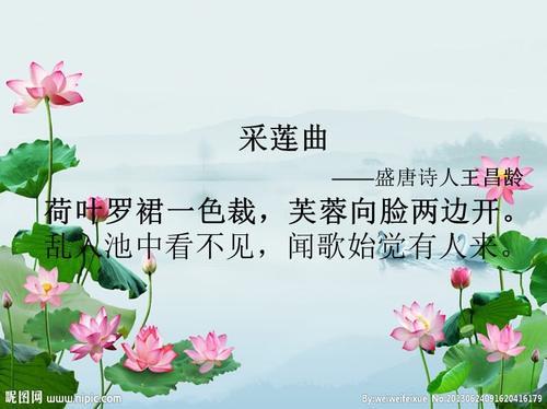 荷花的诗句34字