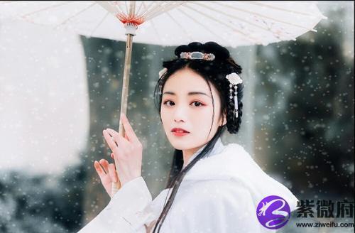 形容偷人东西的诗句