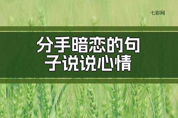 分手暗恋的句子说说心情