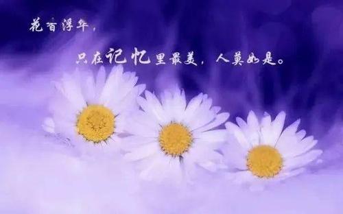 关于适合发朋友圈好心情的短句子大全 适合发朋友圈的话