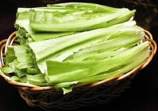油麦菜什么人不能吃