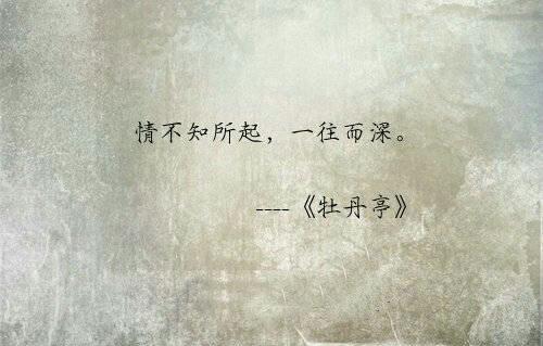 关于形容对女子爱慕的诗句合集(通用) 关于形容女子美貌的古典语句