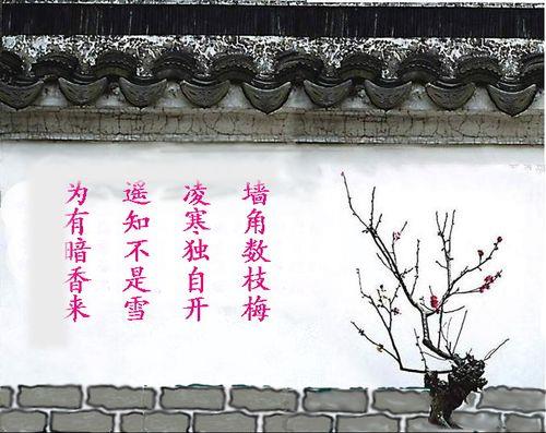 关于唯美梅花的诗句合集(精选) 关于梅花的唯美短句