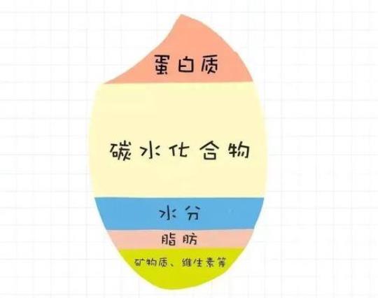 大米碳水化合物含量