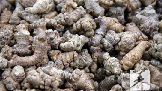 生三七粉与熟三七粉的区别是什么？