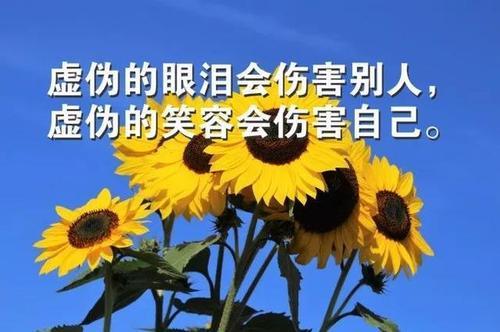 适合发朋友圈的正能量唯美句子
