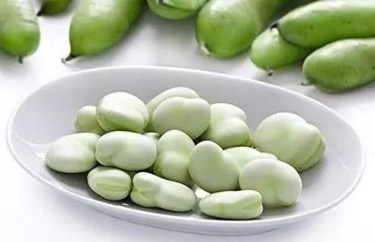 新鲜蚕豆小孩能吃吗
