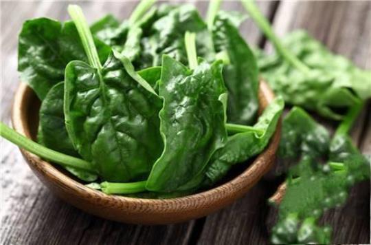 摘菠菜和芹菜时应去掉什么？