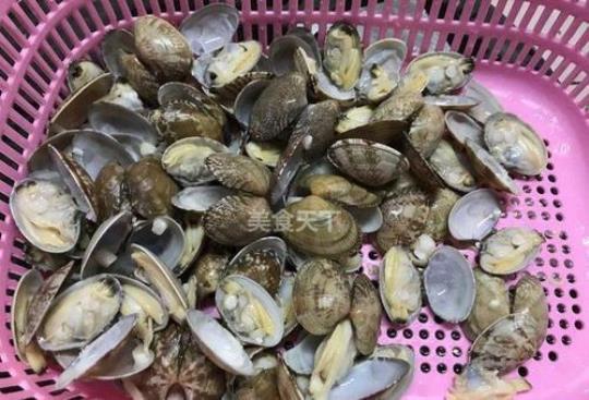 新鲜花甲怎么保鲜过夜