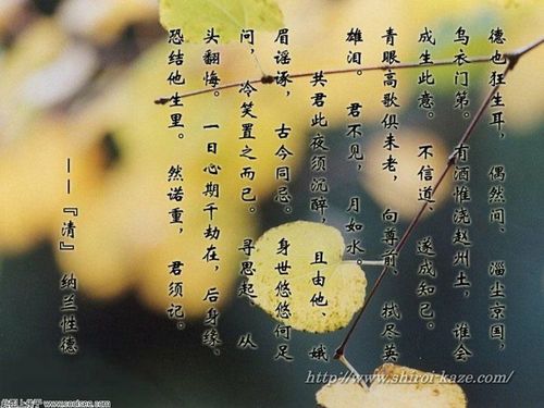 关于纳兰词中形容女子很美的诗句合集(优选)