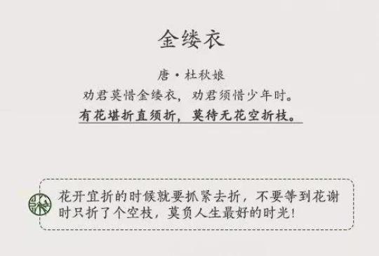 关于形容年轻人积极奋进的诗句合集(通用) 关于形容年轻人的词语