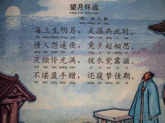 关于望月时的诗句合集(实用) 关于望月抒情的诗句有哪些