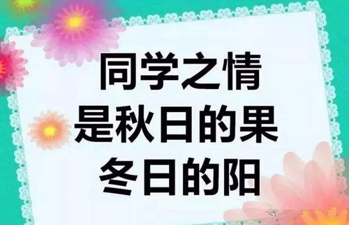 关于写同学之情的唯美句子大全 关于同学之情的名人名言