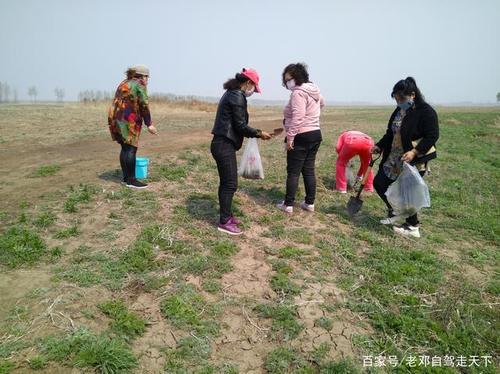 关于春暖花开挖野菜的优美句子大全