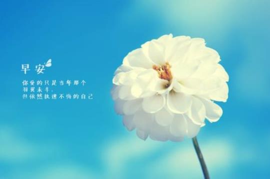 关于早安幽默可爱的句子说说心情大全 关于早安幽默的句子