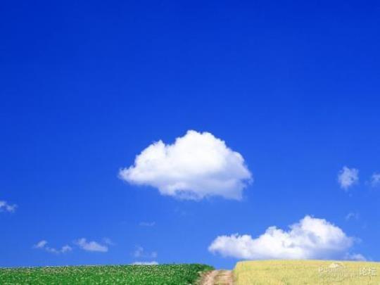 关于风景独美的优美句子大全 这里的风景独美300字
