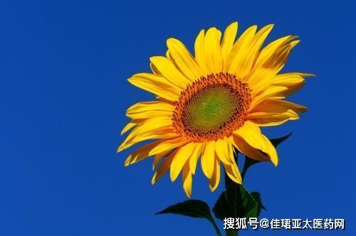 关于形容生活态度乐观的诗句合集(优选) 关于形容生活态度情绪的句子