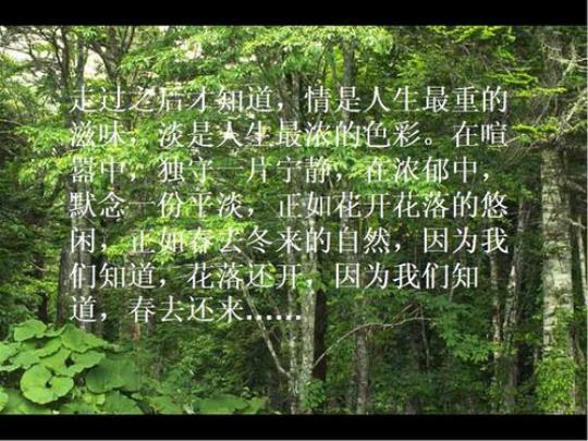 关于人生淡泊的诗句合集(精选) 关于人生淡泊名利清白的作文