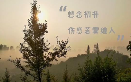 关于形容想念却不能相见的诗句合集(优选) 形容想念的成语