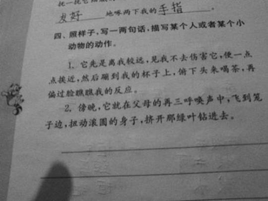 关于写小动物优美句子大全 关于动物优美的句子有哪些