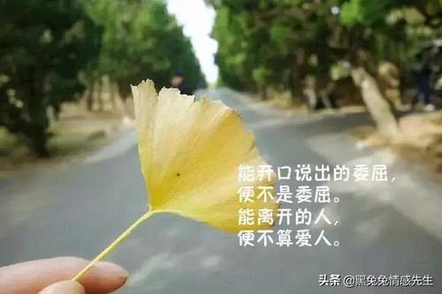 关于很经典霸气的句子说说心情大全 经典短句霸气