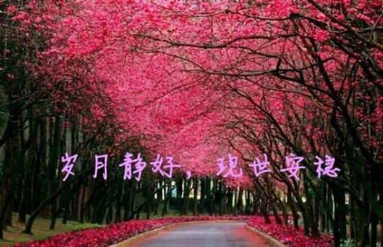 一家人岁月安好唯美句子