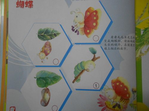 形容毛毛虫变成蝴蝶的诗句