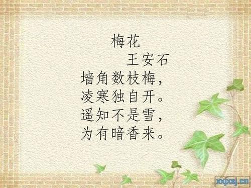 关于植物类诗句物候合集(优选) 关于植物诗句的概括