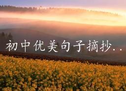 形容分享的优美句子
