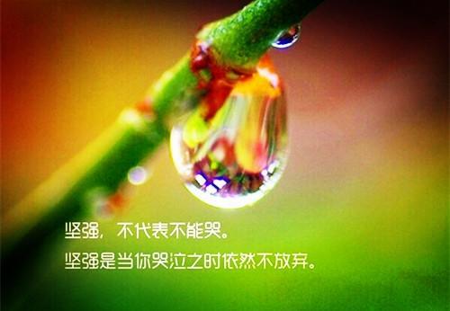 希望女儿上进的唯美的句子