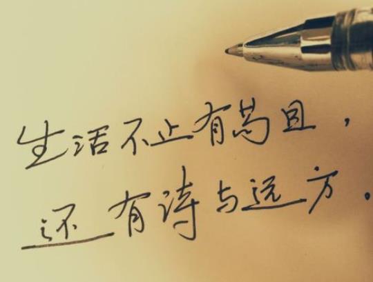 生活不止眼前的苟且还有诗和远方议论文 生活不止眼前的苟且作文