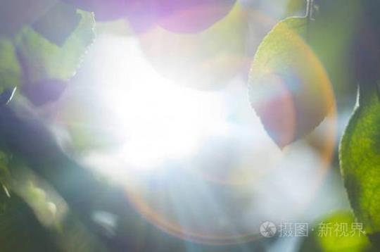 关于夏日阳光明媚的句子唯美句大全 夏日阳光明媚的诗句