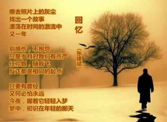 关于形容珍贵记忆的诗句合集(优选) 关于形容珍贵的比喻句